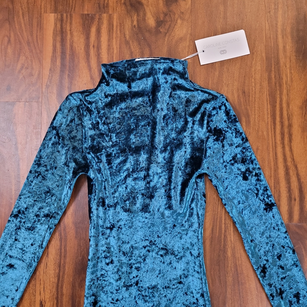 Caroline Constas New York Crushed Velvet Victorie Dress - Picture 4 of 10